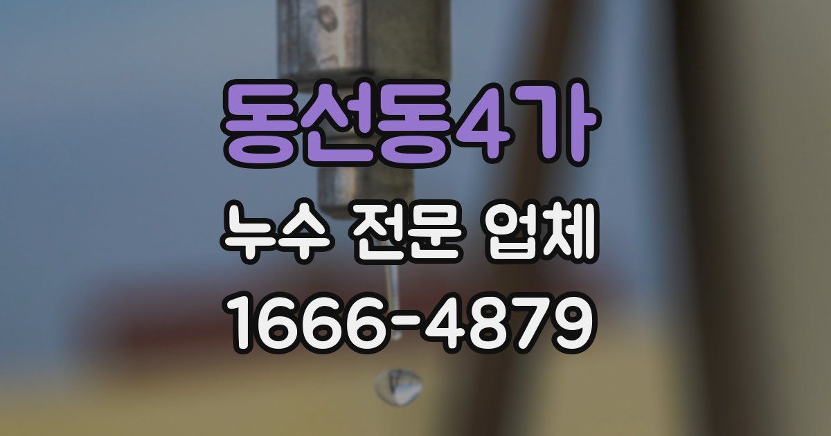동선동4가 누수 전문 업체