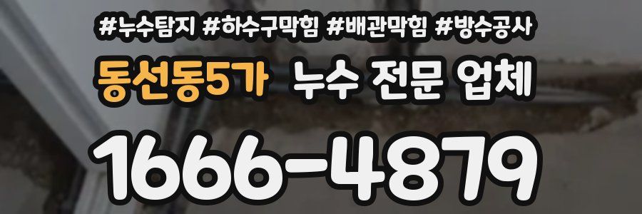 동선동5가 누수 전문 업체
