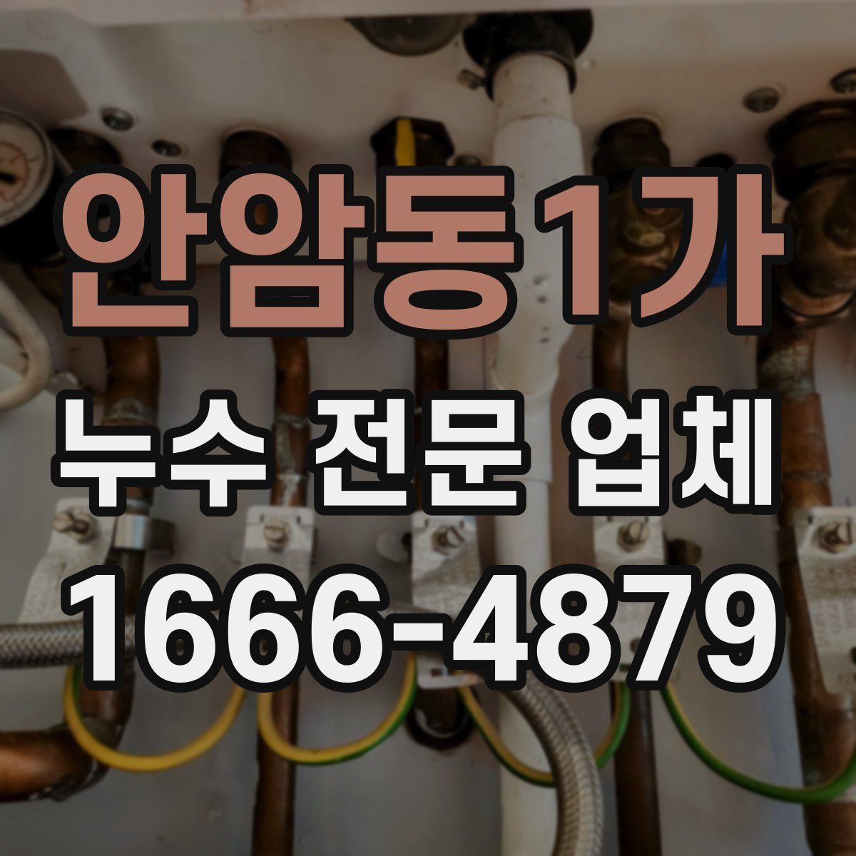 안암동1가 누수 전문 업체