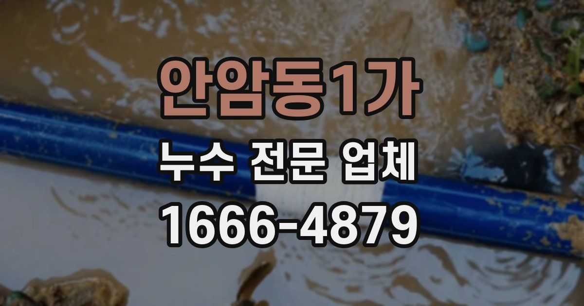 안암동1가 누수 전문 업체
