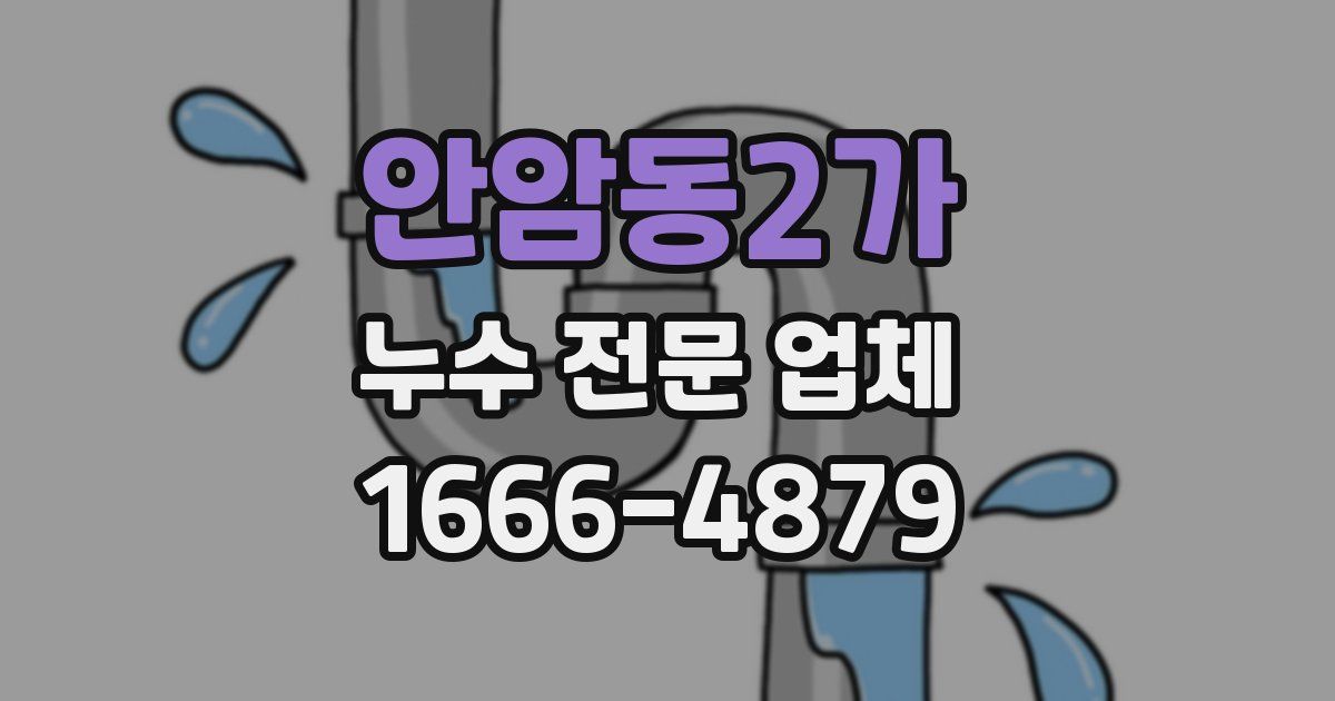 안암동2가 누수 전문 업체
