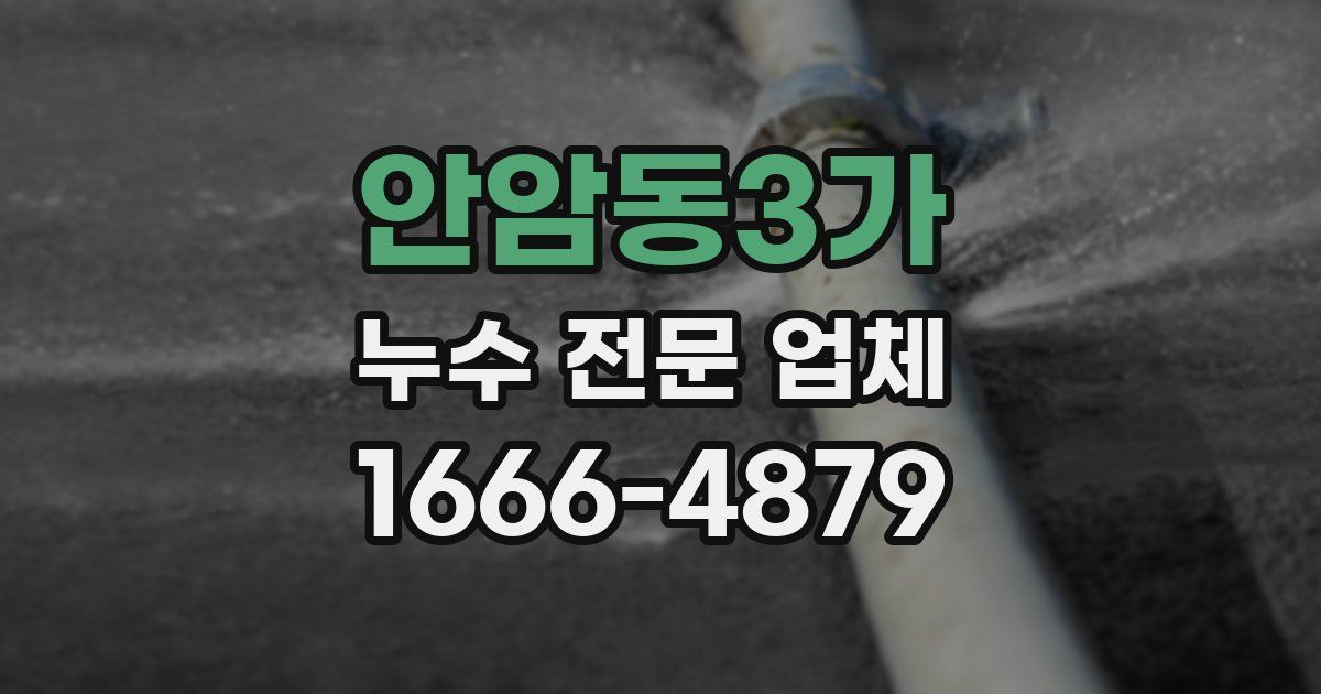 안암동3가 누수 전문 업체