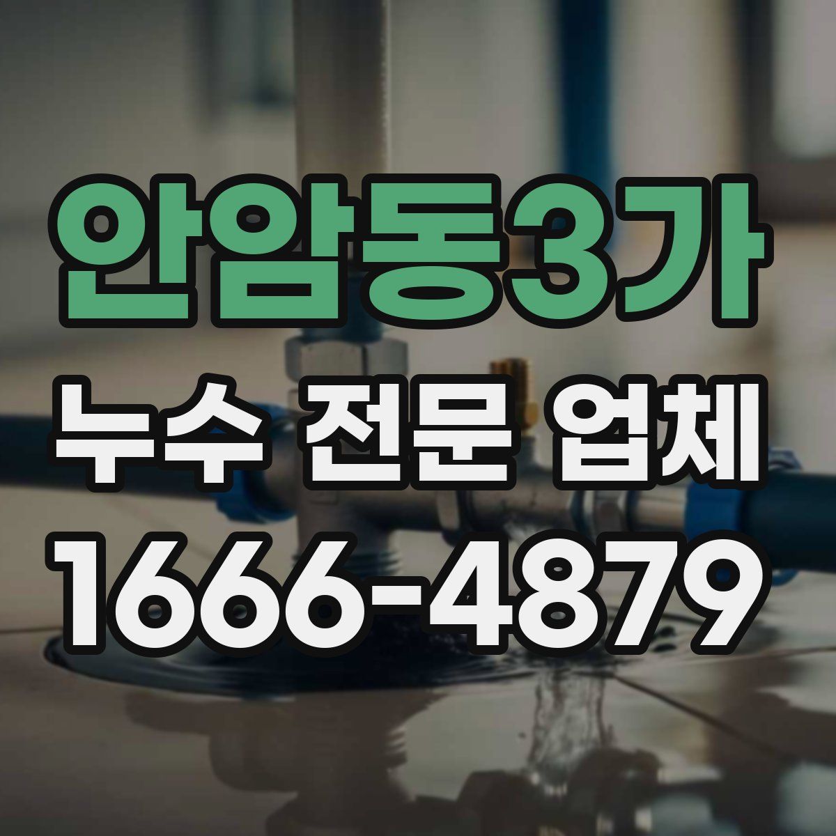 안암동3가 누수 전문 업체