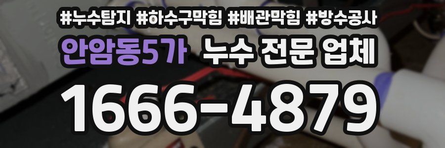 안암동5가 누수 전문 업체
