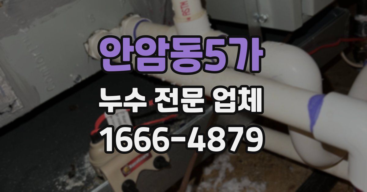 안암동5가 누수 전문 업체