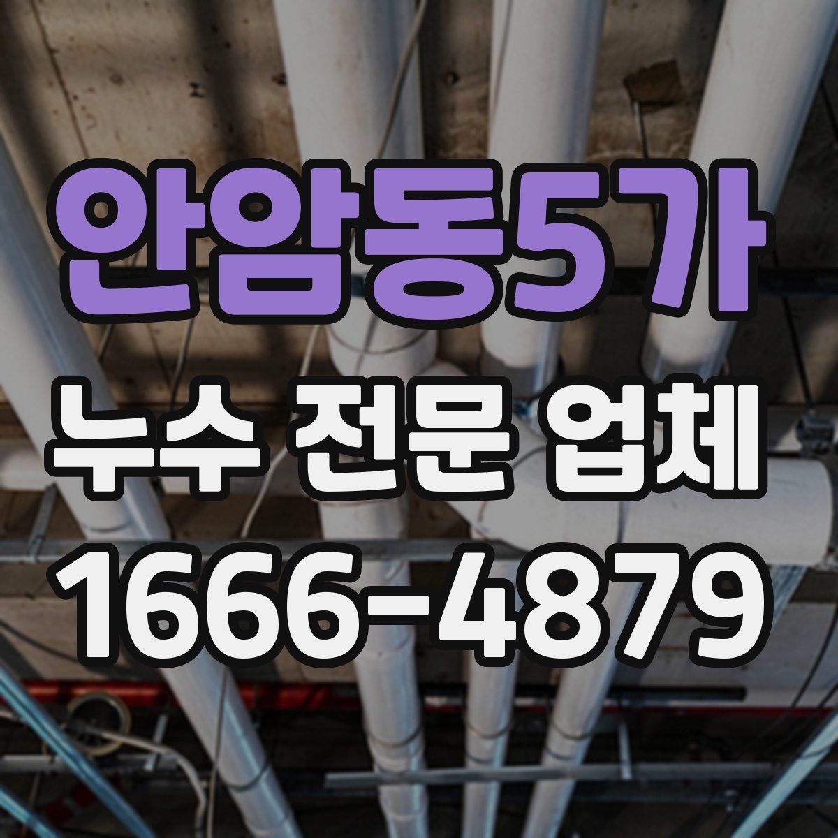 안암동5가 누수 전문 업체