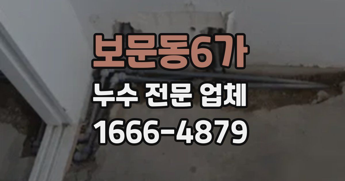 보문동6가 누수 전문 업체