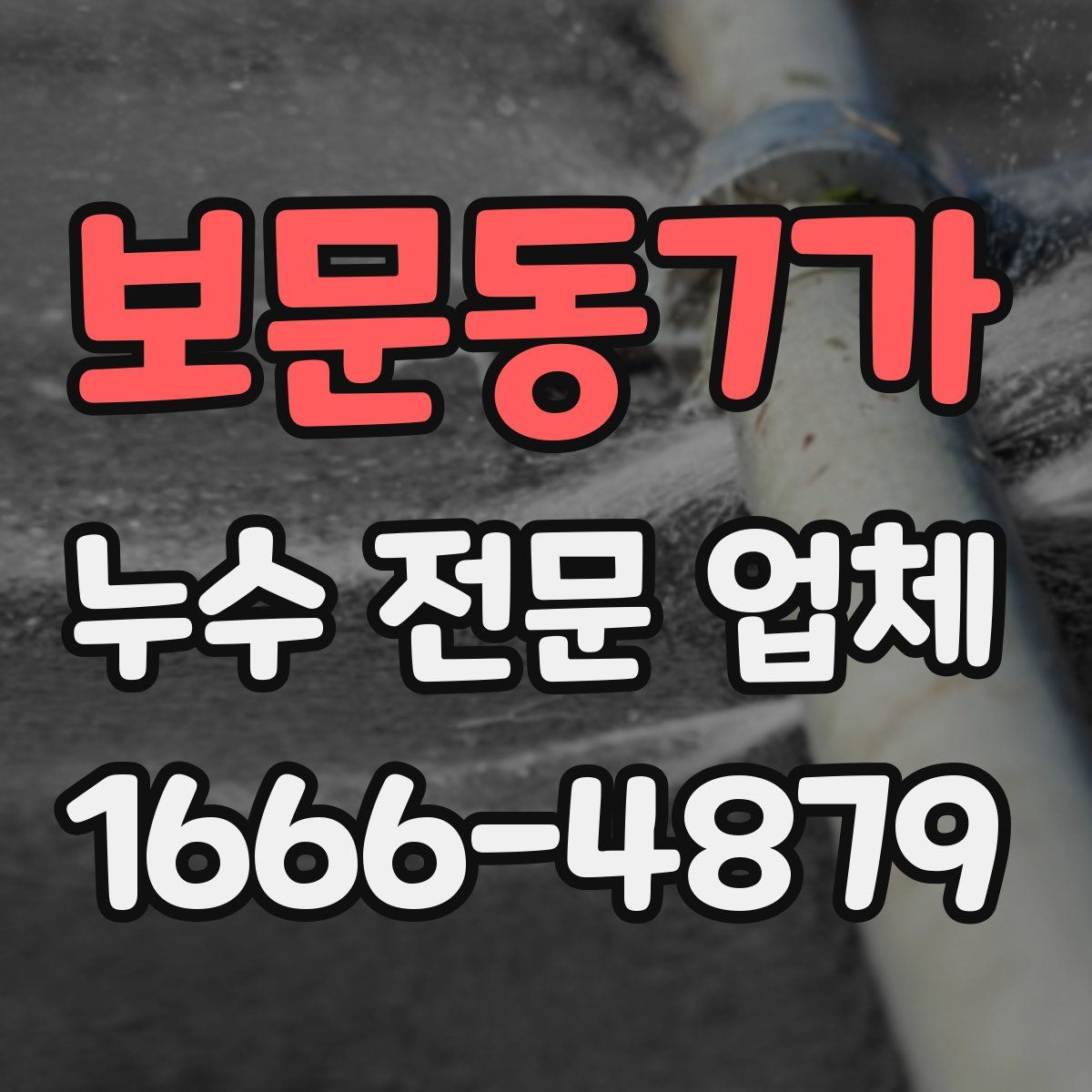 보문동7가 누수 전문 업체