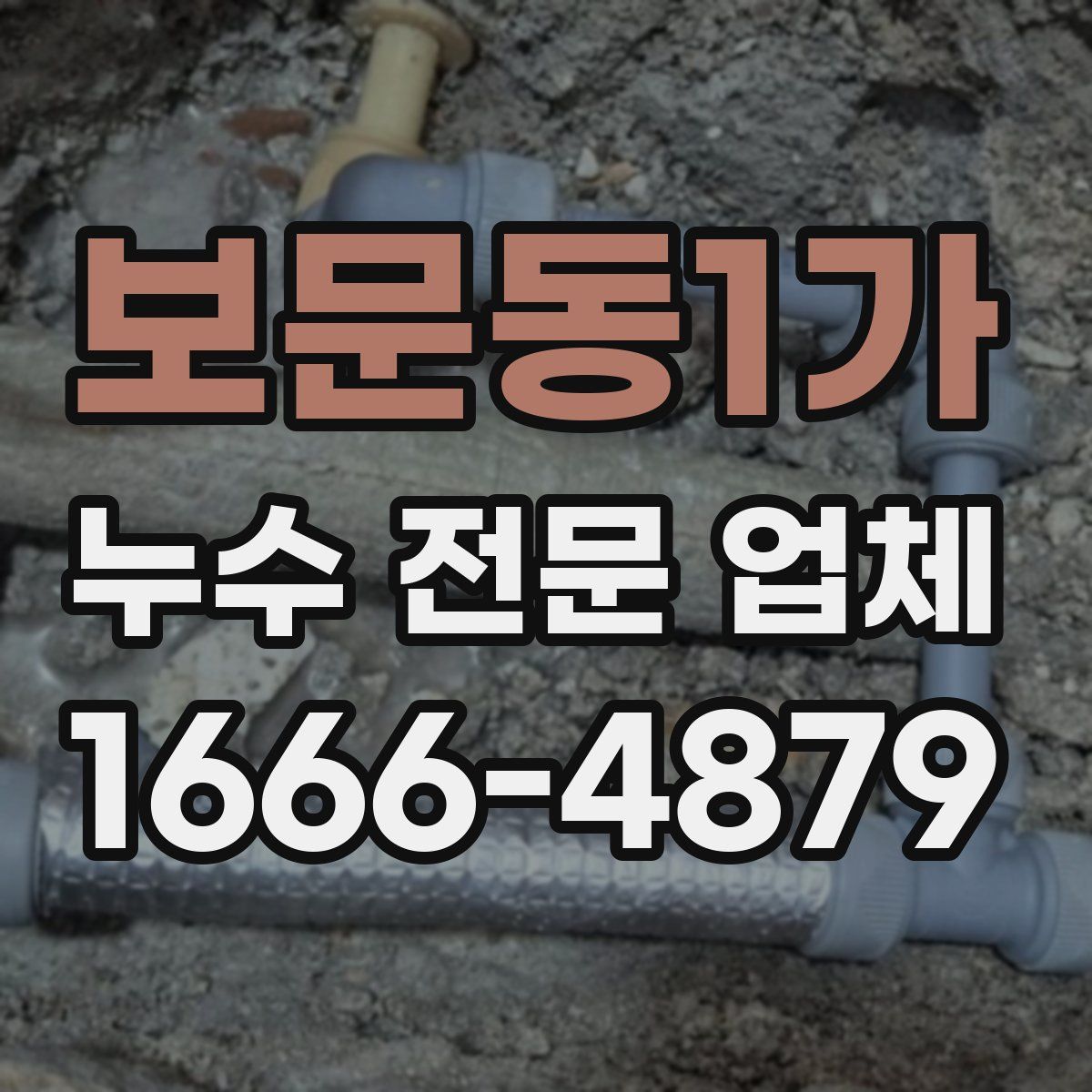 보문동1가 누수 전문 업체