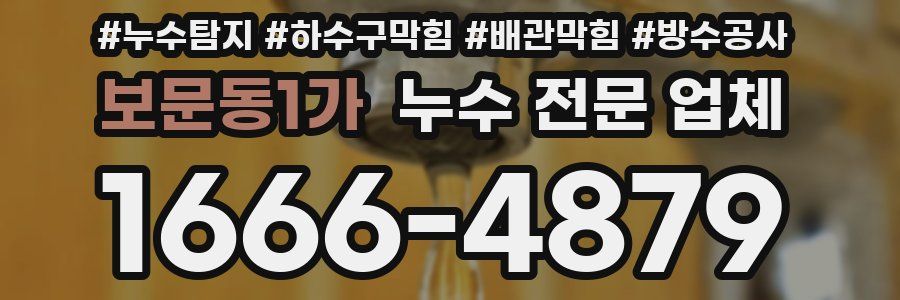 보문동1가 누수 전문 업체