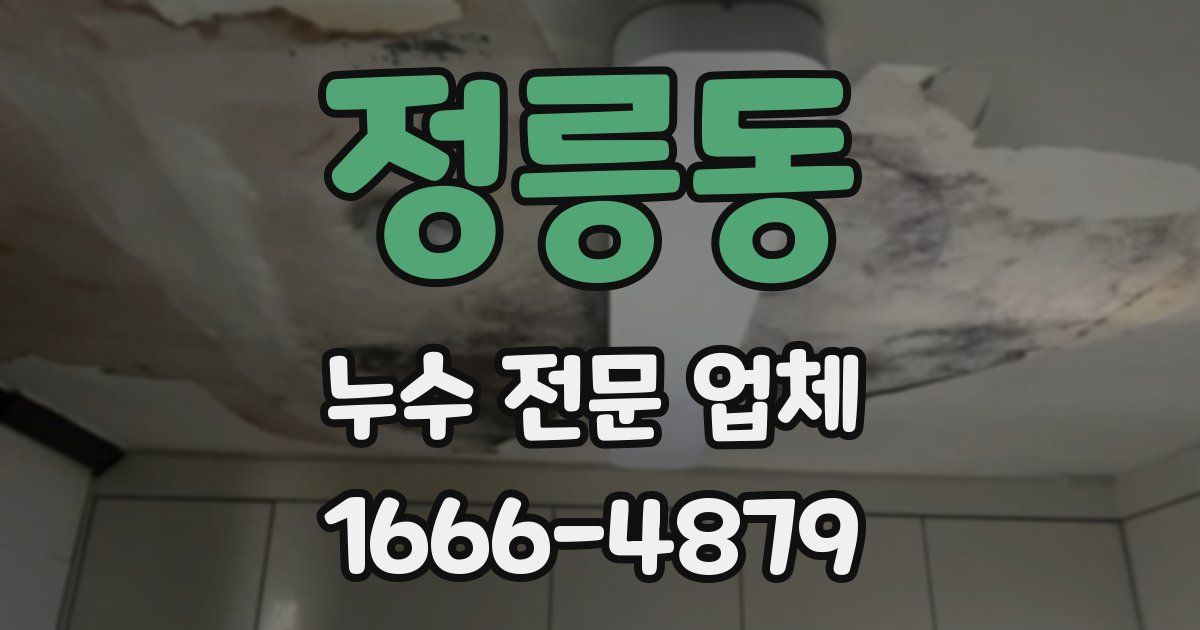 정릉동 누수 전문 업체