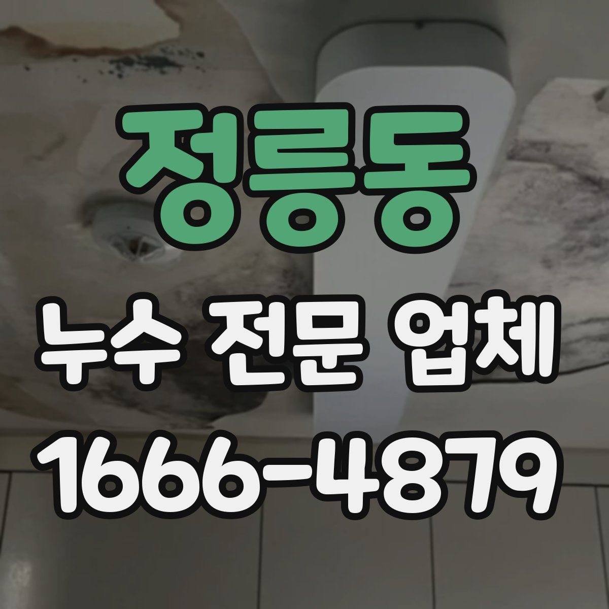 정릉동 누수 전문 업체