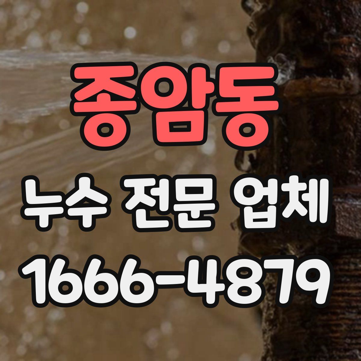 종암동 누수 전문 업체