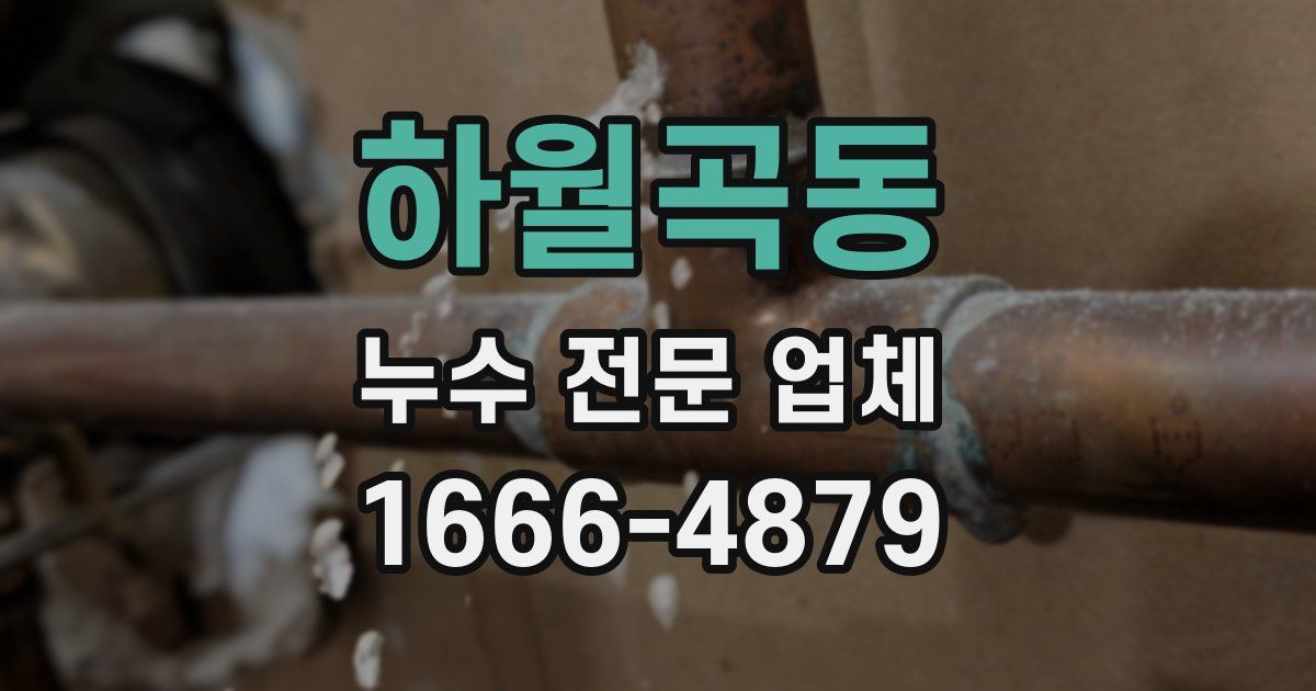 하월곡동 누수 전문 업체