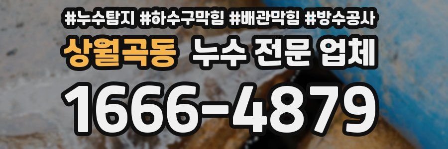 상월곡동 누수 전문 업체