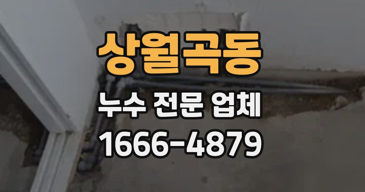 상월곡동 누수 전문 업체