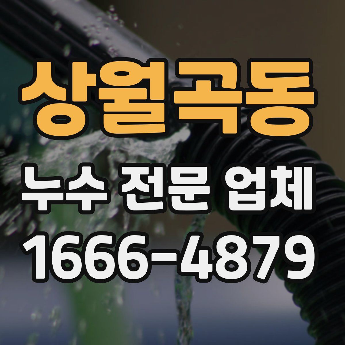 상월곡동 누수 전문 업체