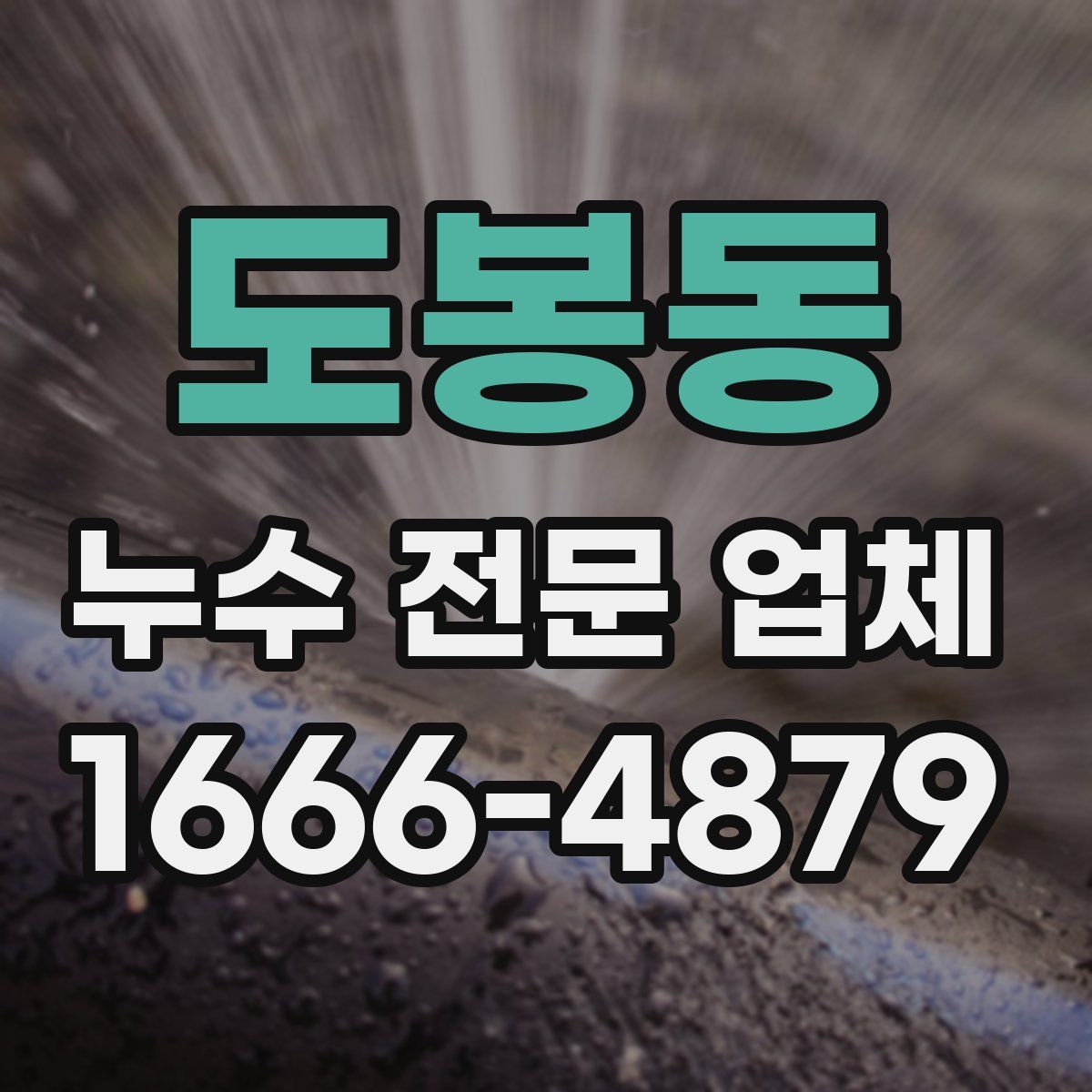 도봉동 누수 전문 업체