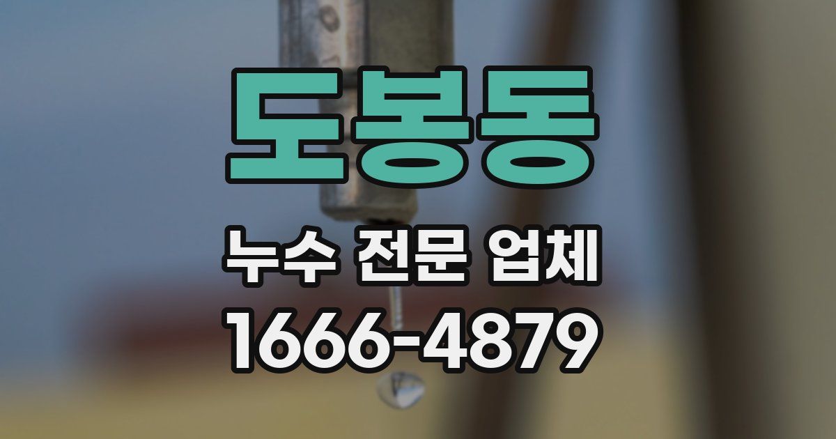 도봉동 누수 전문 업체