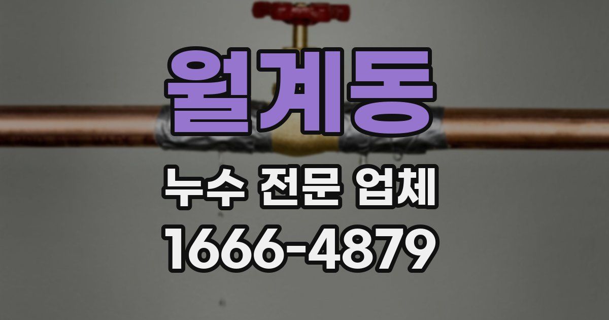 월계동 누수 전문 업체
