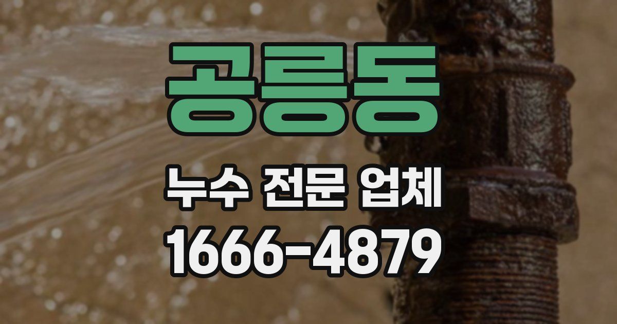 공릉동 누수 전문 업체