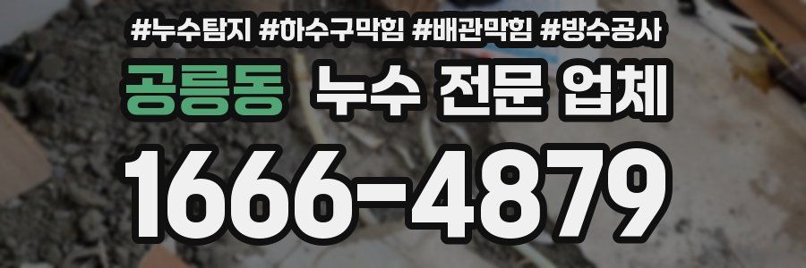 공릉동 누수 전문 업체