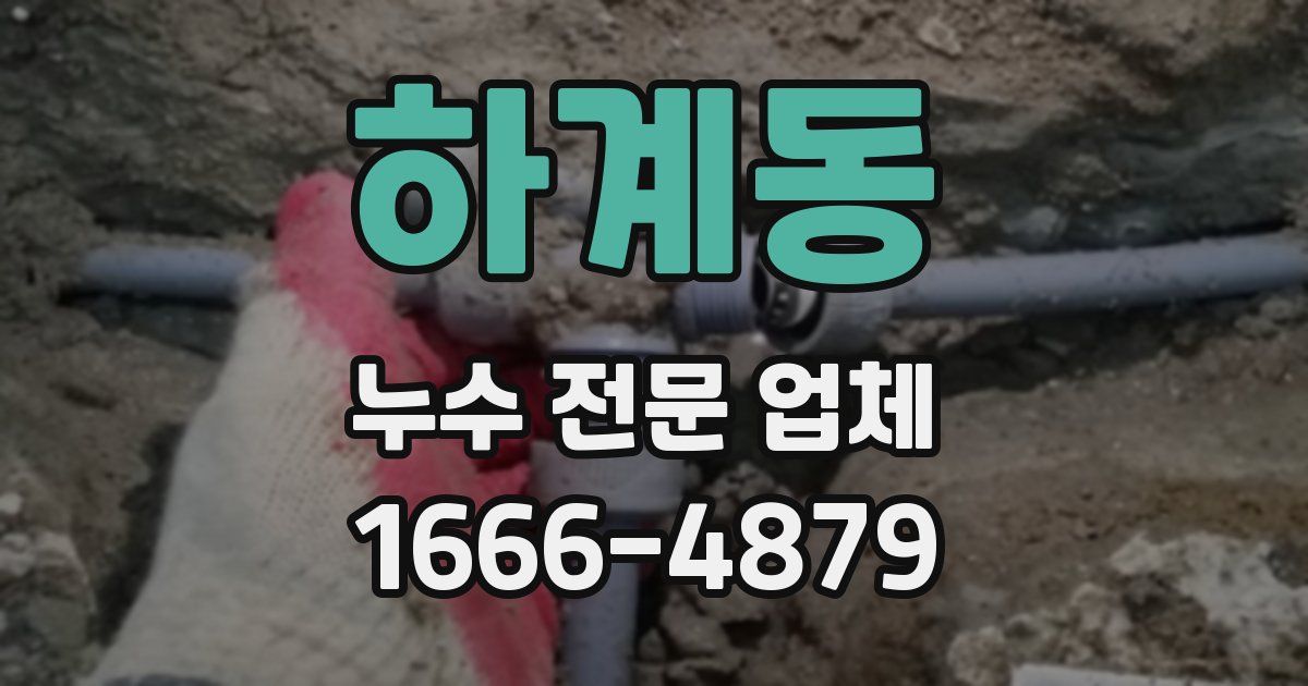하계동 누수 전문 업체