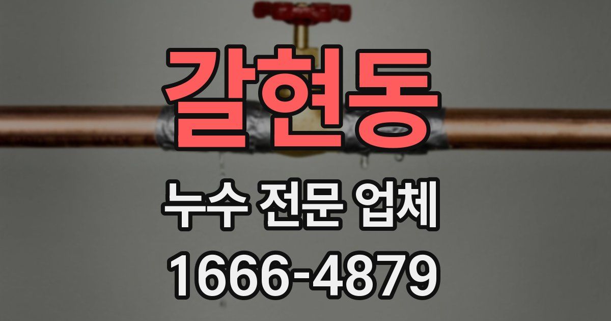 갈현동 누수 전문 업체