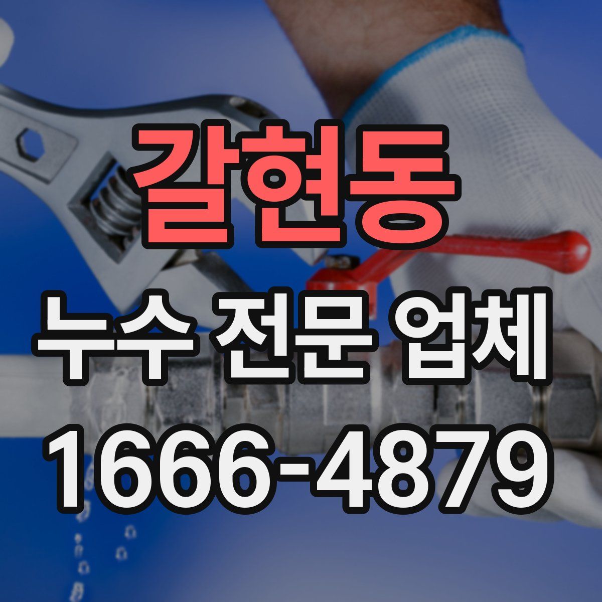 갈현동 누수 전문 업체