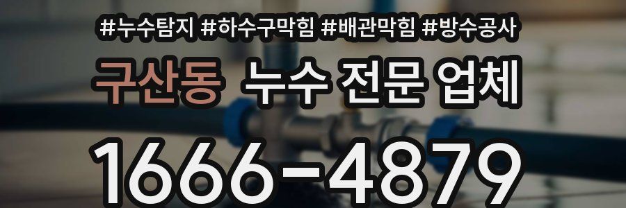 구산동 누수 전문 업체