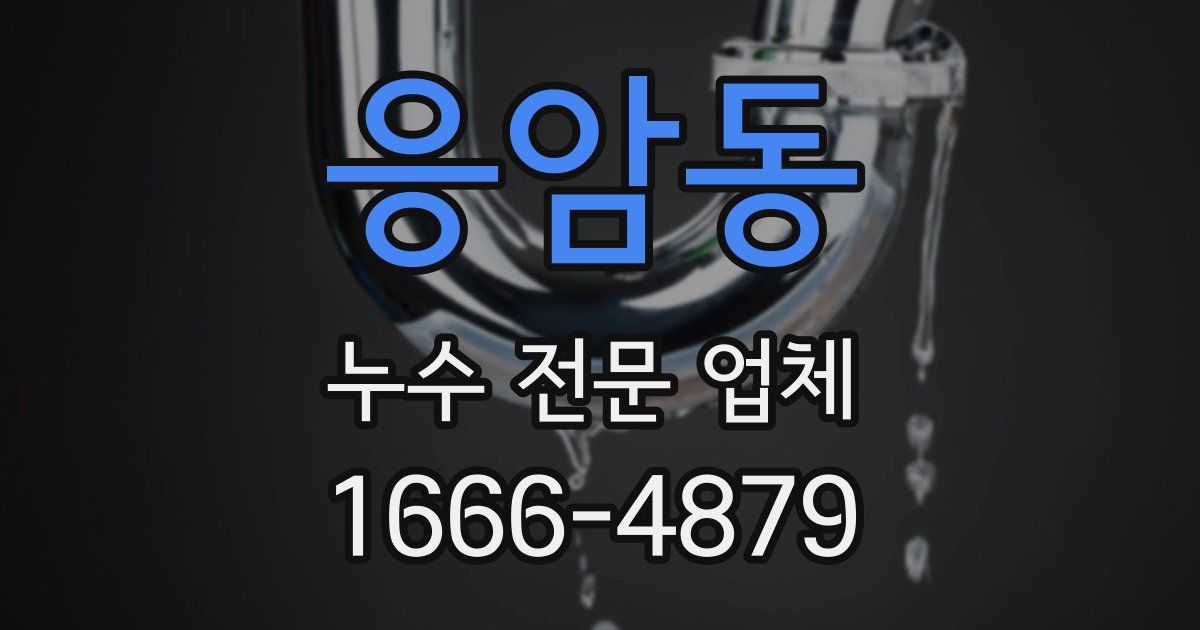 응암동 누수 전문 업체