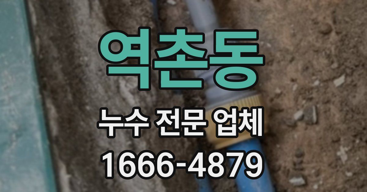 역촌동 누수 전문 업체