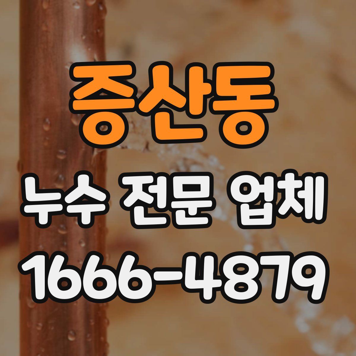 증산동 누수 전문 업체