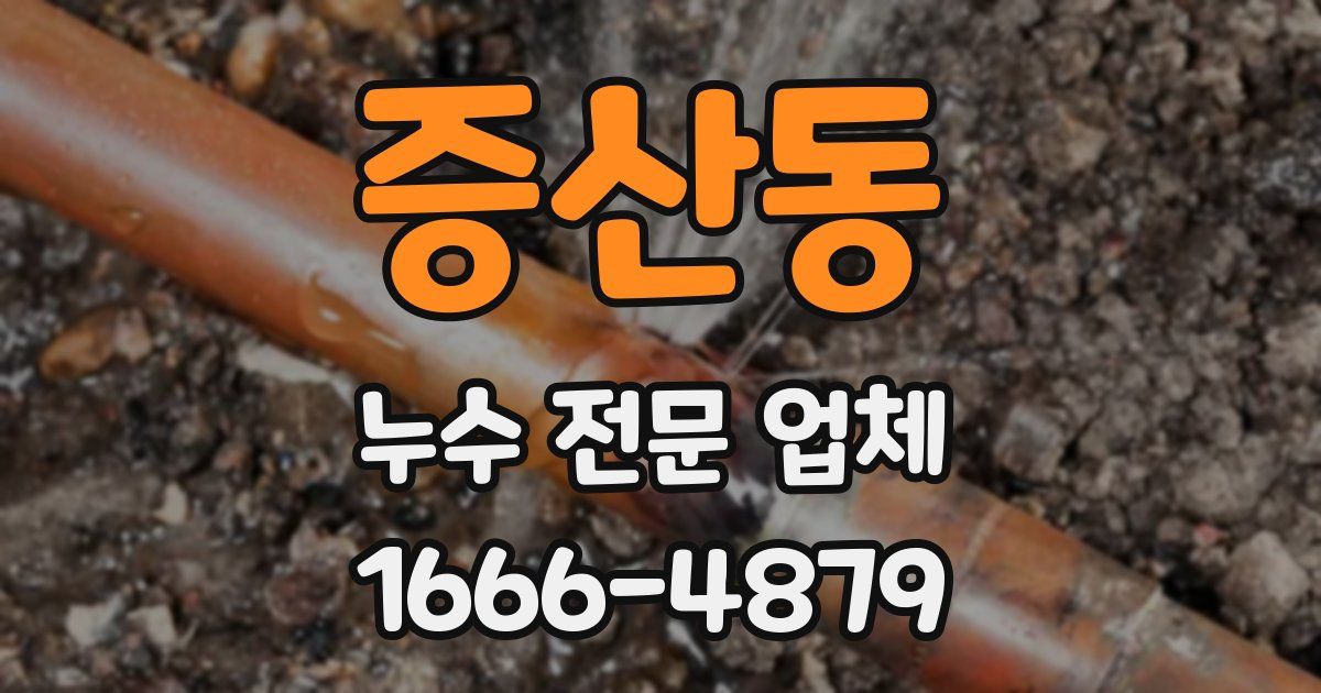 증산동 누수 전문 업체