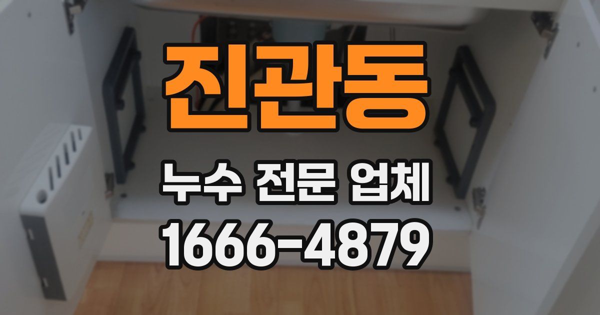 진관동 누수 전문 업체