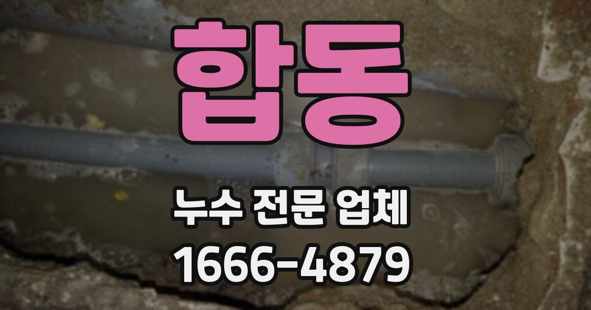 합동 누수 전문 업체