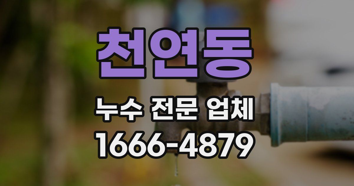 천연동 누수 전문 업체