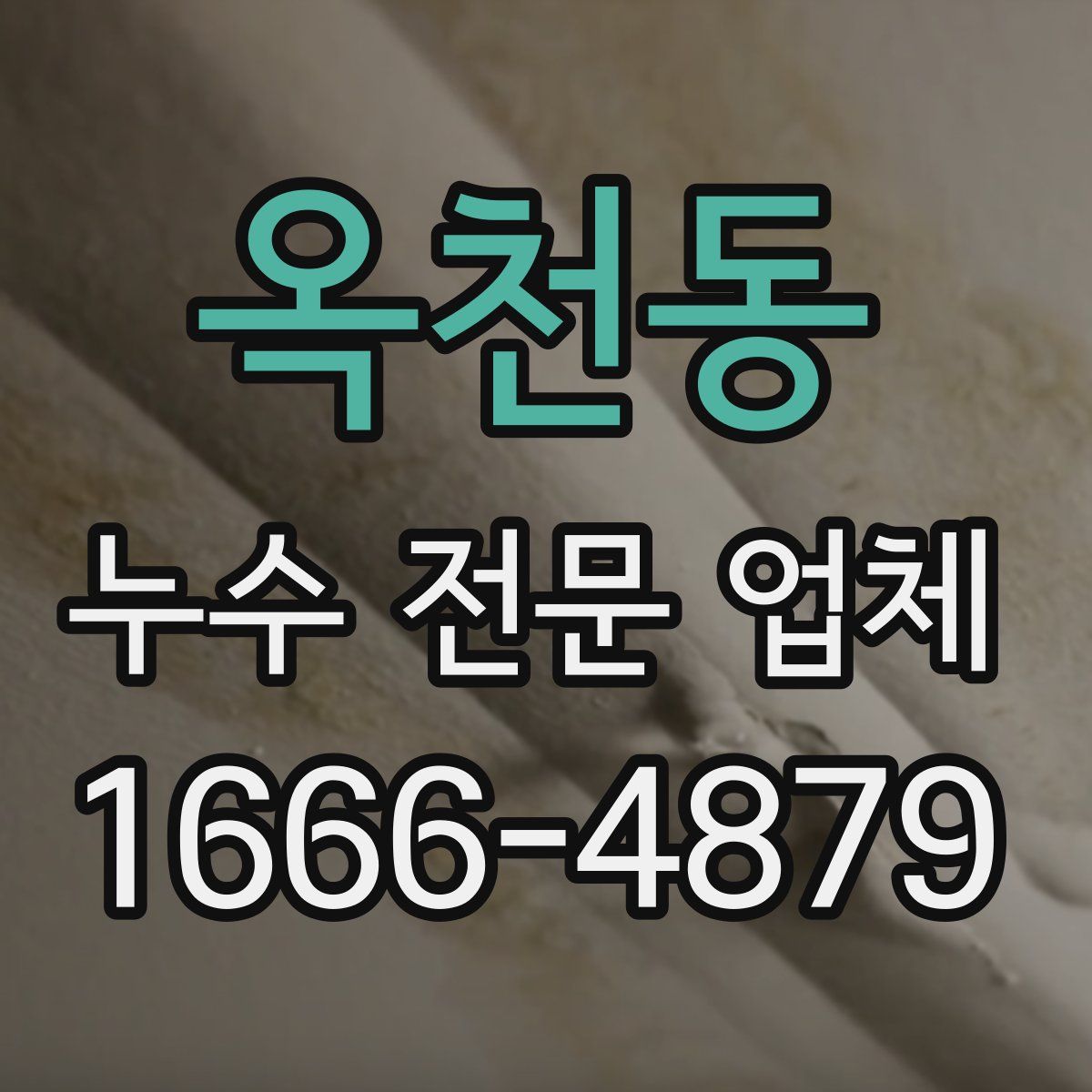 옥천동 누수 전문 업체