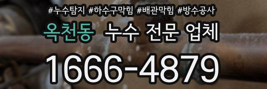 옥천동 누수 전문 업체