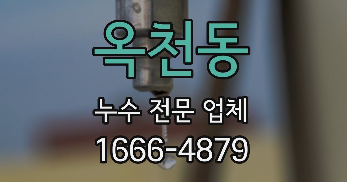 옥천동 누수 전문 업체