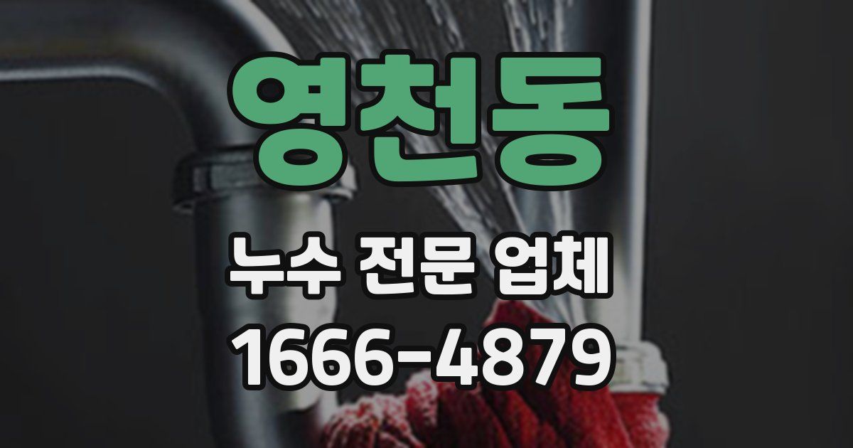 영천동 누수 전문 업체