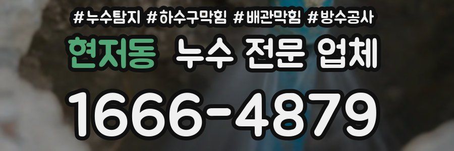현저동 누수 전문 업체