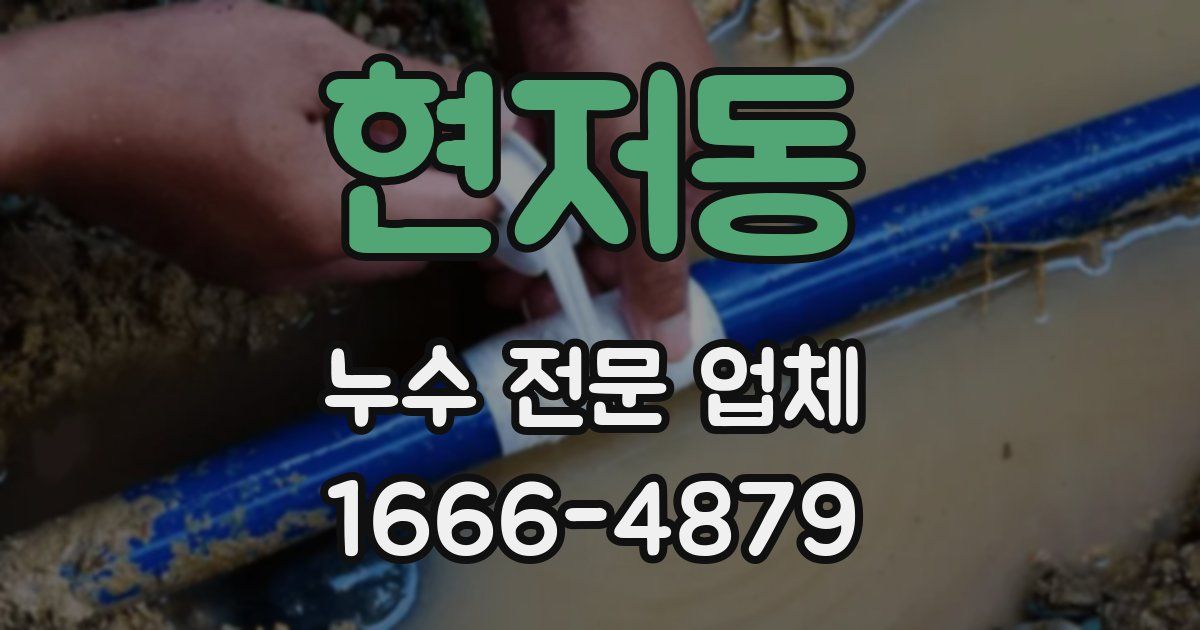 현저동 누수 전문 업체