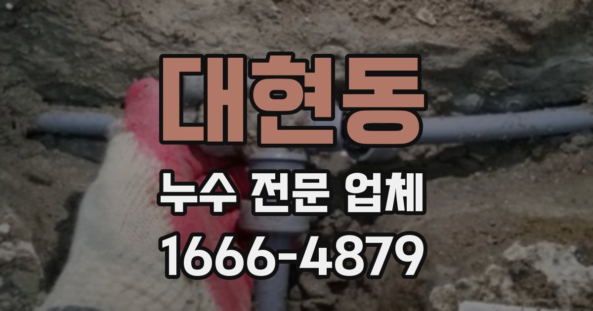 대현동 누수 전문 업체