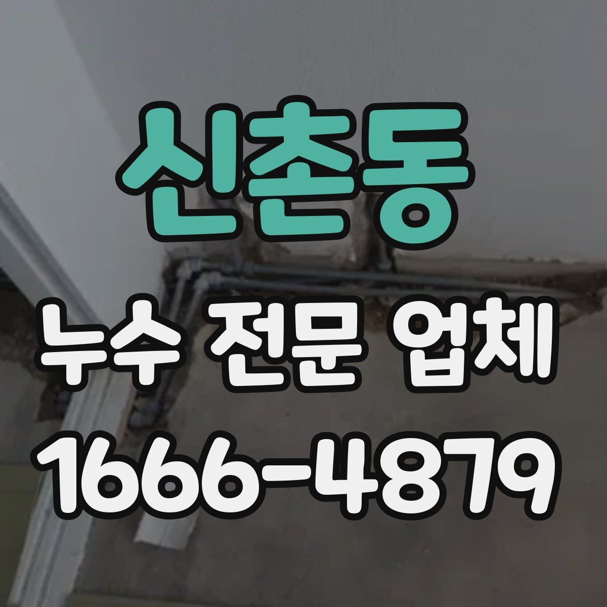 신촌동 누수 전문 업체