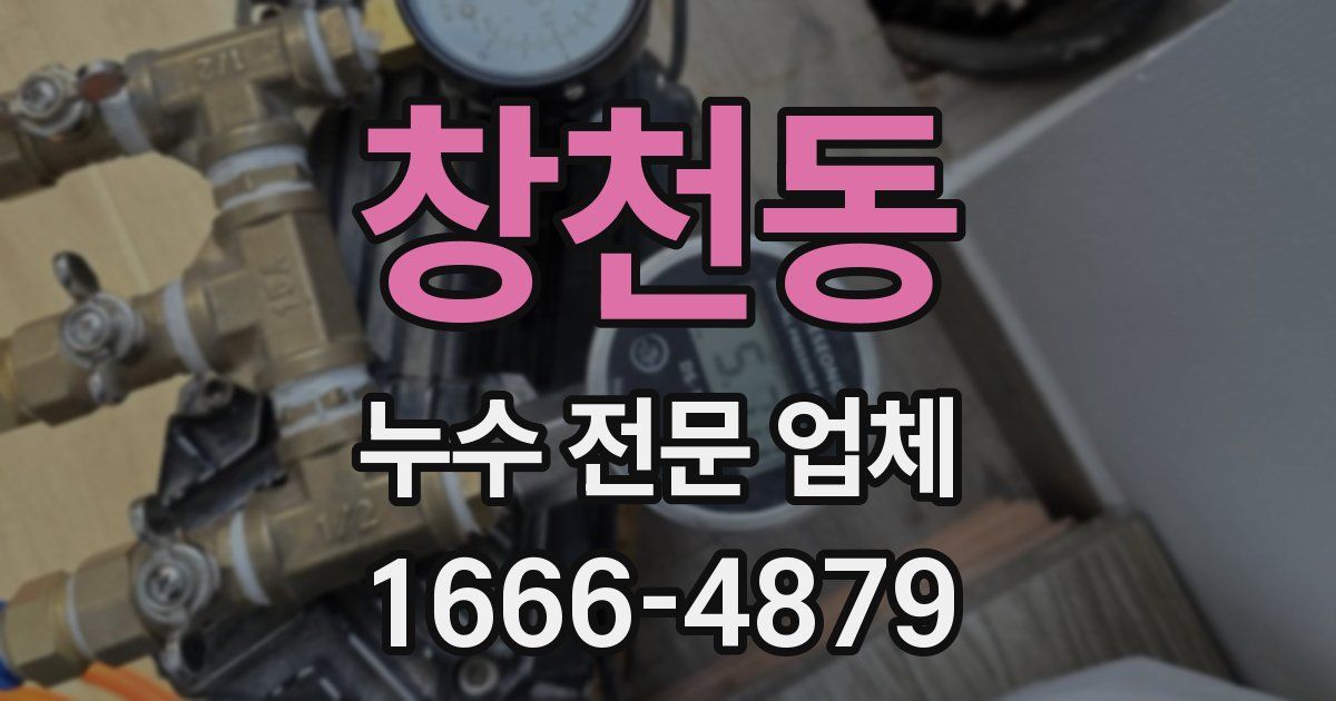 창천동 누수 전문 업체
