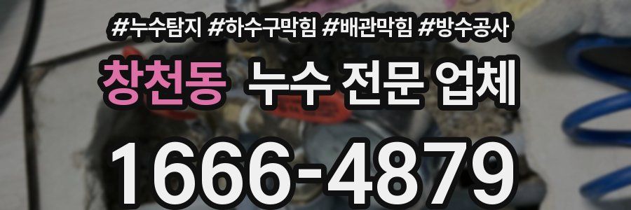 창천동 누수 전문 업체