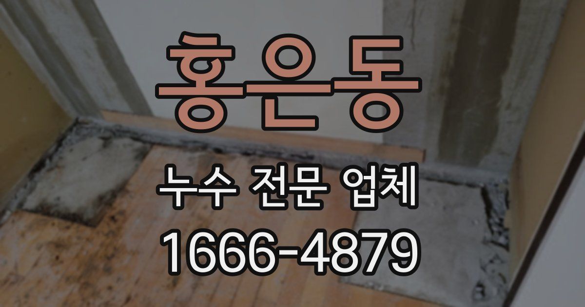 홍은동 누수 전문 업체