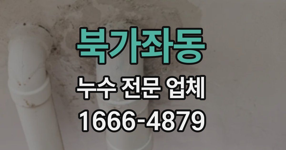북가좌동 누수 전문 업체