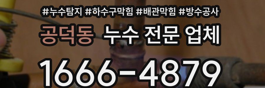 공덕동 누수 전문 업체